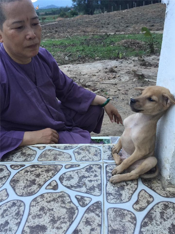 “Tan chớp” trước khi trút giận em giải quyết cũng không buông ảnh 10